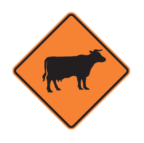 Picture of ROAD SIGN STOCK COW