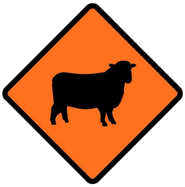 Picture of ROAD SIGN STOCK SHEEP