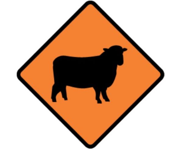Picture of ROAD SIGN STOCK SHEEP FOLDING
