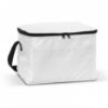 Picture of ALASKA COOLER BAG