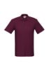 Picture of MENS CREW POLO