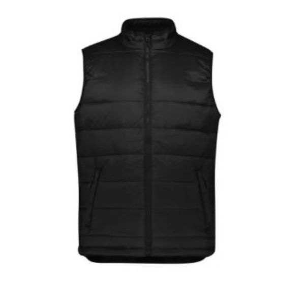 Picture of MENS ALPINE VEST