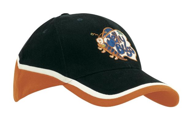 Picture of HSZ BRUSHED HEAVY COTTON TRI-COLOURED CAP