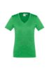 Picture of LADIES AERO TEE