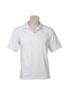 Picture of MENS OCEANA POLO