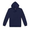 Picture of TMP MENS 360 PULLOVER HOODIE