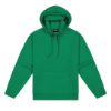 Picture of HSW WMNS 300 PULLOVER HOODIE