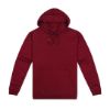 Picture of HSI STD 300 PULLOVER HOODIE